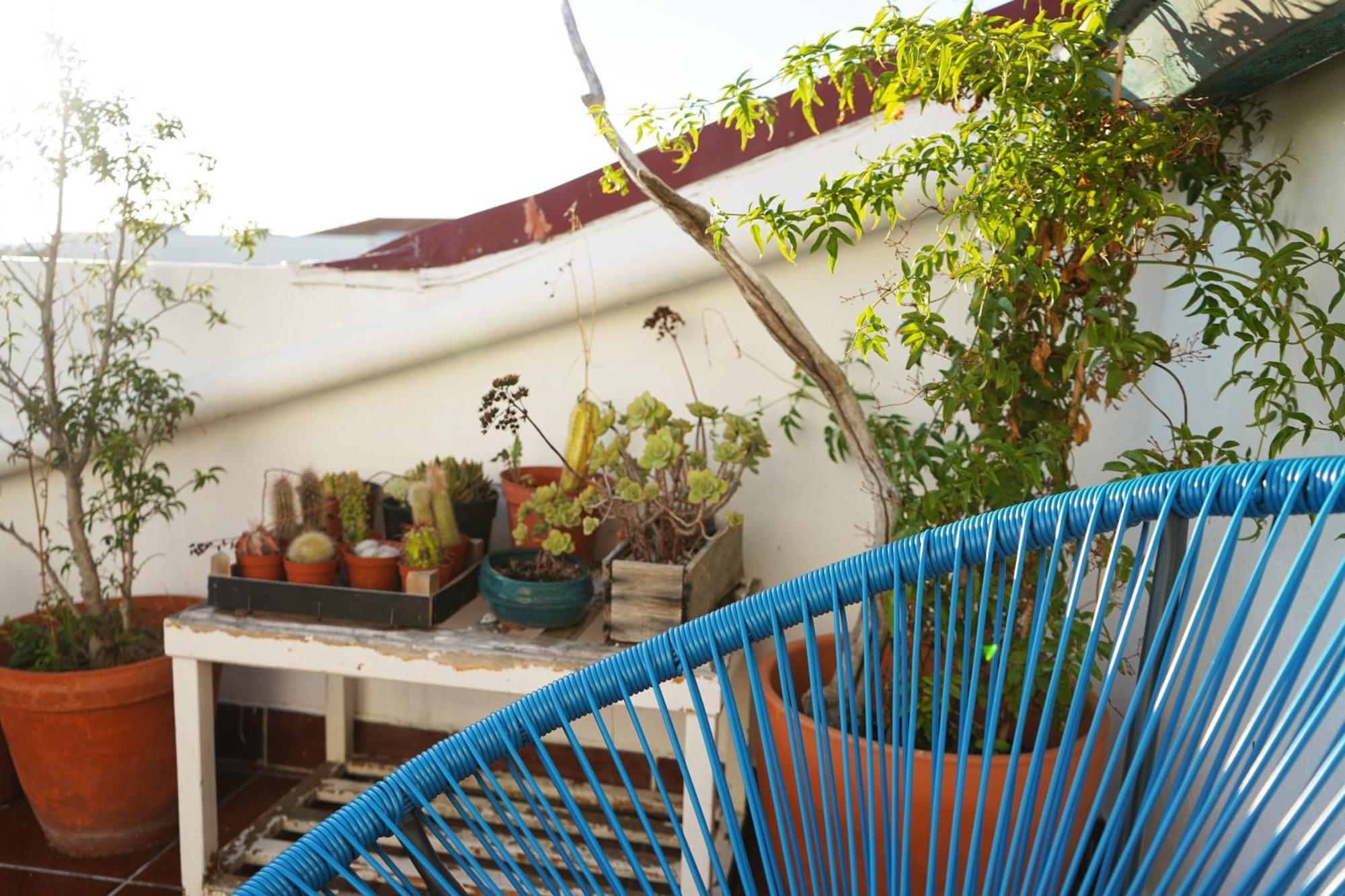 Vic Aveiro Arts House Hotel Exterior foto